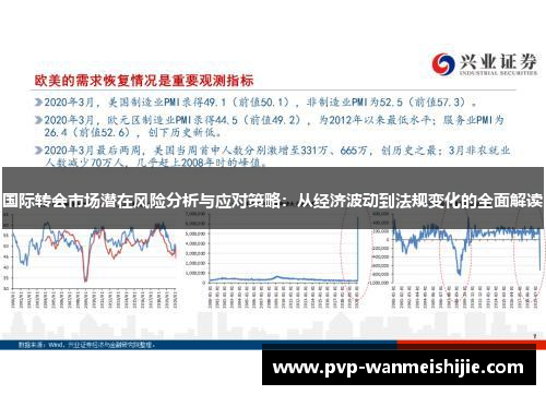 国际转会市场潜在风险分析与应对策略：从经济波动到法规变化的全面解读