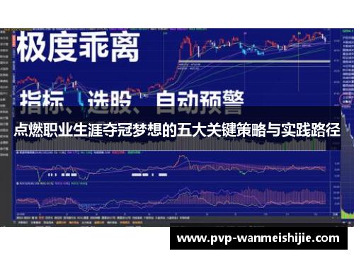 点燃职业生涯夺冠梦想的五大关键策略与实践路径
